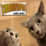 Podcast 13