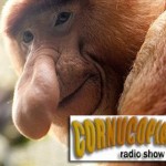 Podcast 4