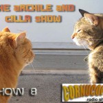 Podcast 8